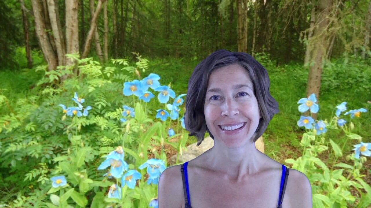 Aquarius June 2015 Horoscope Forecast