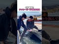 水に落ちたサッカーボールを拾う方法 #学校 #大学生