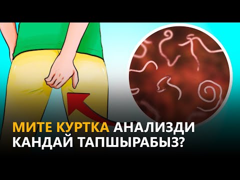 Video: Кантип курттар үчүн анализ тапшырса болот