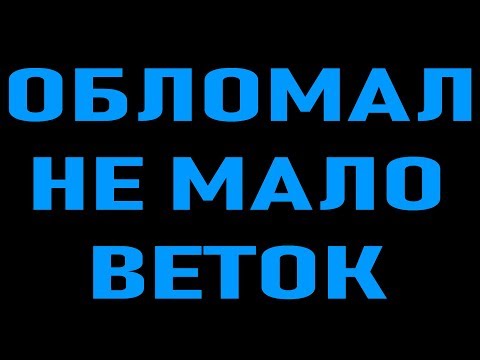 Обломал Не Мало Веток. Караоке