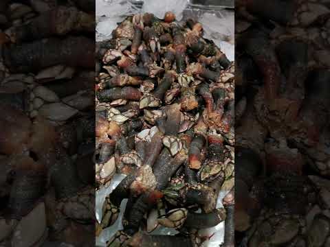 🎬 Video con opiniones sobre Mariscos El Corte Inglés