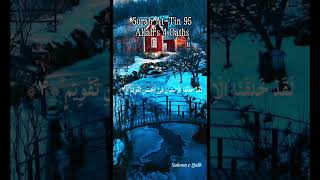 Surah At-Tin 95 | Allah's 4 Oaths | Created in Perfect Form | Quran Recitation