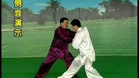 張東武 Zhang Dongwu - 傳統推手 Traditional Push Hands 1