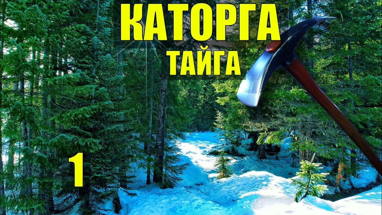 ХОЗЯЙКА ТАЙГИ-3 ТЮРЬМА КАТОРГА ТАЁЖНЫЙ ОБОЗ РОМАН ЖИЗНЬ в ТАЙГЕ ИСТОРИИ ...