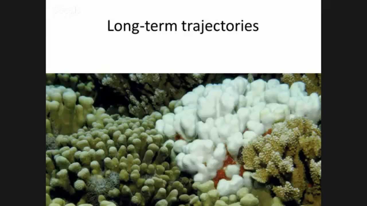 Sundays at the Bay - Science and Hawai`i Sea Grant Graduate Student Trainees - O...