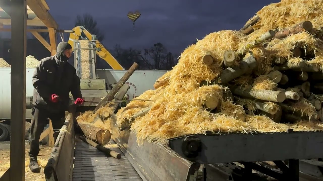 MEGA Mesmerizing Wood Shredding Under Evening Lights