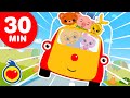 A Roda do Ónibus - E Mais Música Infantil (30 Min) - Um Herói do Coração