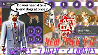 Steps to get True Friend Dogs - Only 4 | FINAL | Last Day On Earth Survival