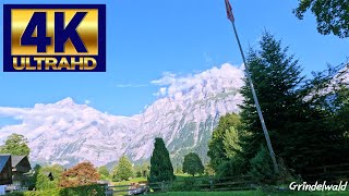 Grindelwald Switzerland First 4K /웅장한 피르스트,아이거 /First /Eiger /SWISS / 바흐알프호수 /Bachalpsee /그린델발트