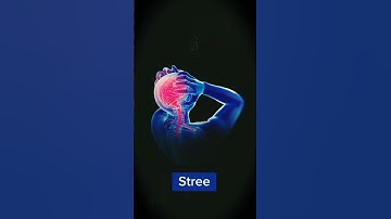 Coding lover🚀#html5#css3#javascript #frontend#study#pubgmobile#codinglife#shorts#viralvideo#trending