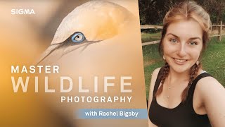 Top tips for beginner wildlife photographers