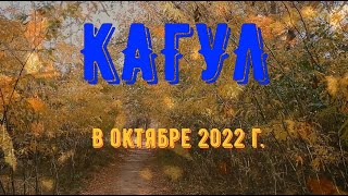 С Лёшкою прогулки. Кагул Октябрь 2022