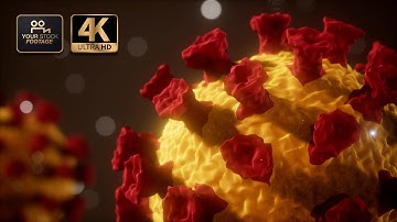 Coronavirus covid 19 macro model 3d - Royalty Free by YOUR STOCK FOOTAGE