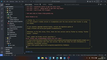 Flutter project