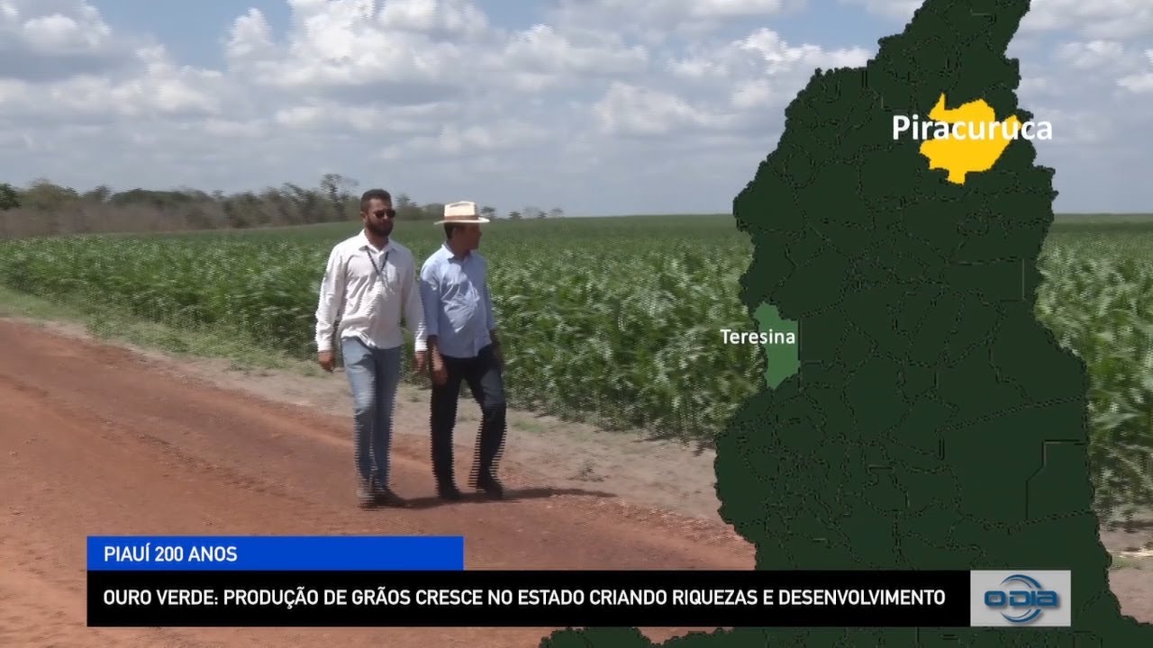 ouro-verde-produ-o-de-gr-os-cresce-no-piau-gerando-riquezas-e