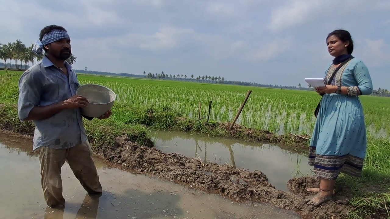 Research and Ground work - Intelli Farm Tech