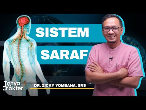 Bagaimana Cara Kerja Sistem Saraf?  Bersama dr. Zicky Yombana, Sp.S | Tanya Dokter #6