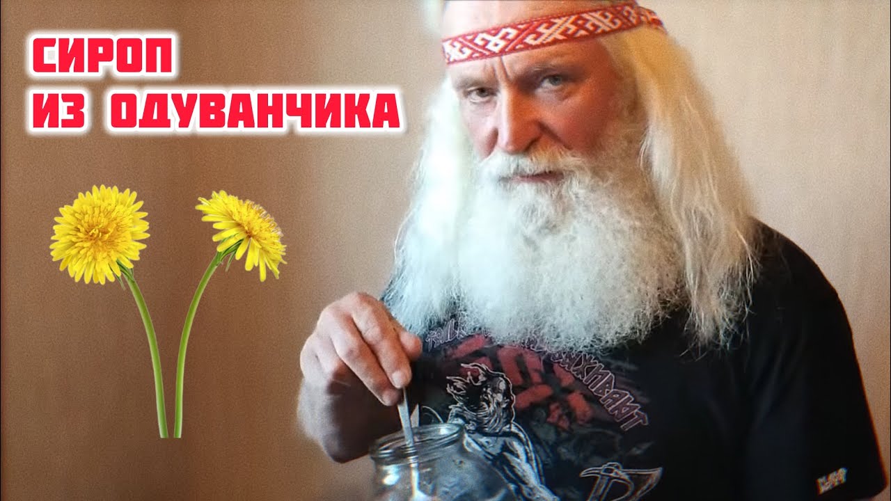 Пей ЭТО для крепкого здоровья! Сироп из одуванчиков своими руками - YouTube