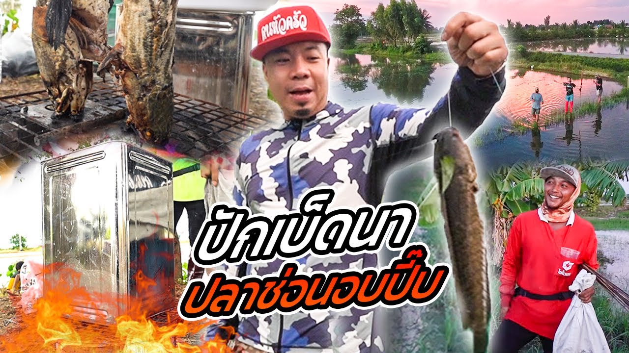ศึกล้างตา!! ท้าปักเบ็ดนา ล่าปลาช่อนนา ทำอบปี๊บ !!
