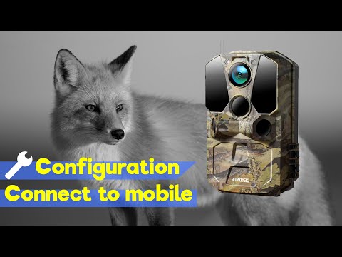 WIFI Trail camera CEYOMUR CY65 📱 That can be connected to Smartphone
