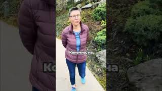 Магия Японского сада. Полное погружение