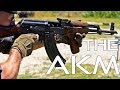 The AKM (the most common assault rifle in the world)
