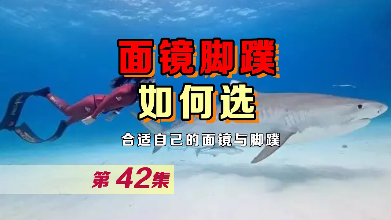 初学者如何挑选自由潜水面镜与脚蹼 Youtube