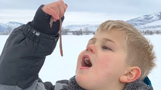 Ice Fishing Perch | Our 4 Year Old Ate Our Live Bait