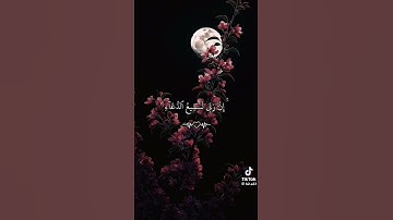 #قران_كريم #اذكار #اكسبلور #الرحمن #تاج_الذكر #تيك_توك