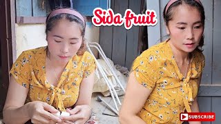 I call Sida fruit (ໝາກສີດາ)