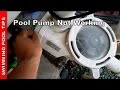 Pool Pump not Working, Part 1- Pump not Priming