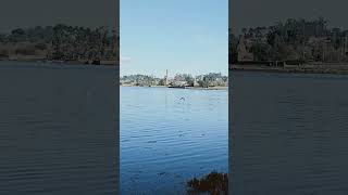 RUTA TELLEIRA; A RUTA + BIRDING #galicia #travel #galiciacalidade