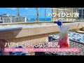 【ハワイひとり旅10泊12日】最終回 │ 私がハワイで一番したい過ごし方 │ ホクラニ屋上でハッピーアワー │ こじんまりのんびり楽しむレイメイキング │ 徳ちゃん空港送迎│Hawaii Vlog