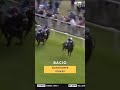 Bacio flies in the #WinAndYoureIn Nunthorpe!