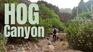 Hog Canyon - Secret Petroglyphs Deep in the Superstitions