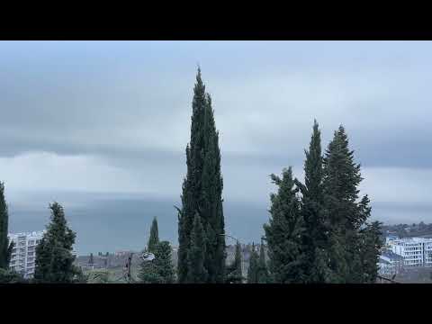 Ялта. На горы и море - можно смотреть бесконечно... 09.02.2026. Крым. Crimea. Yalta. 