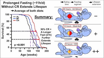 Fasting Without Calorie Restriction Extends Lifespan