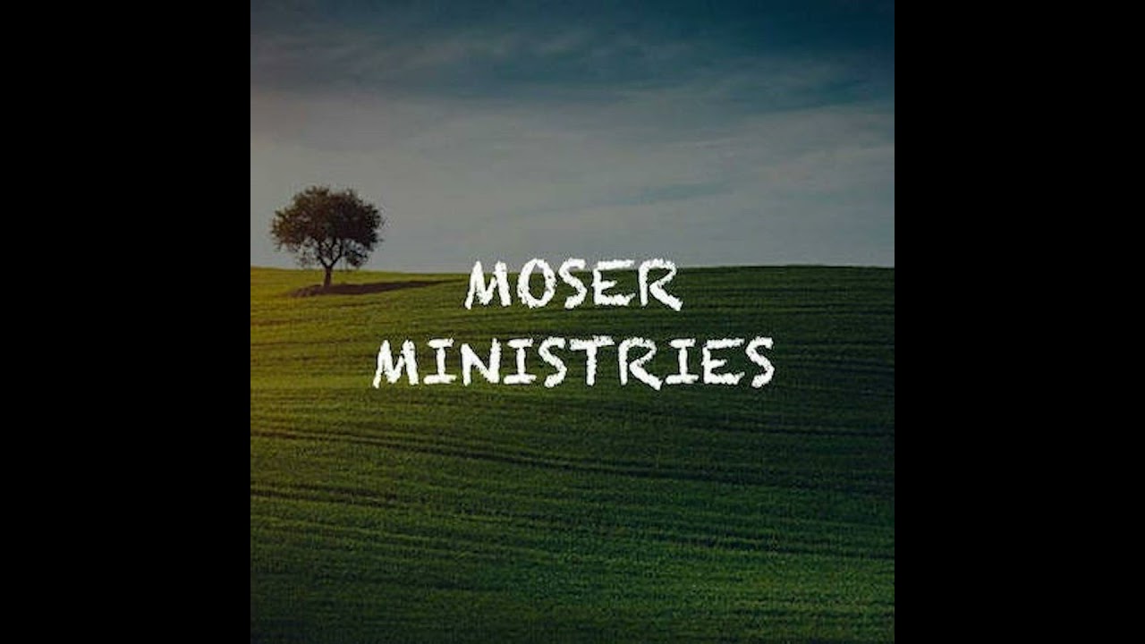 The Persecuted Church