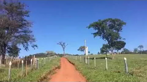 Como é que se chama um cavalo?