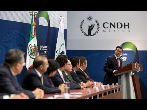 Informe Anual 2017