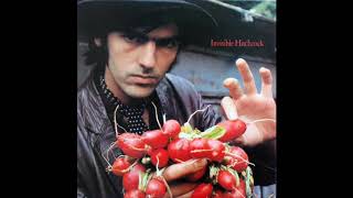 Robyn Hitchcock - Messages of dark