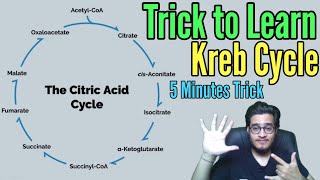 Mnemonic to Learn Kreb Cycle's Substrates and Places of NADH, FADH2 & ATP Release | TCA Cycle Trick