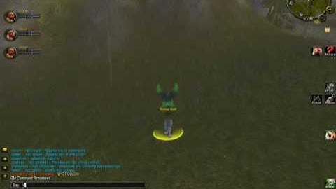 GM COMMAND: NPC FOLLOW (arcemu