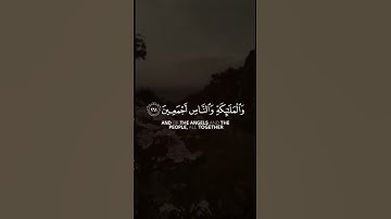 *القارئ/ عمر الدريويز*🤍✨