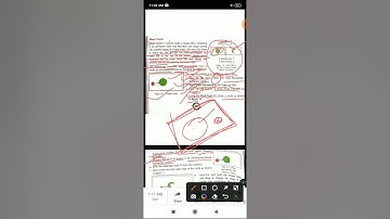 class 8 chapter 7 flash CS6 advanced features topic shape tween and animating text