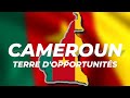 Introduction aux secteurs dinvestissement au cameroun