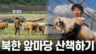 웰시코기 강아지랑 북한 앞마당 산책하러 가다가 월북할뻔했습니다  feat.미친네비게이션