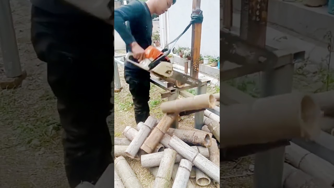 cool technique for cutting bamboo with a chainsaw 