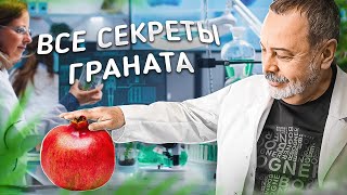 видео: ВСЕ СЕКРЕТЫ ГРАНАТА Железо в гранате, польза граната, как употреблять, Гранат в онкологии картинка: ВСЕ СЕКРЕТЫ ГРАНАТА Железо в гранате, польза граната, как употреблять, Гранат в онкологии