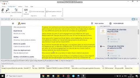 How to scrape job details from apec.fr using a 2 stage mining process